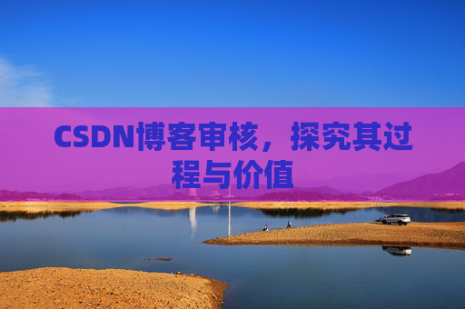 CSDN博客审核,探究其过程与价值
